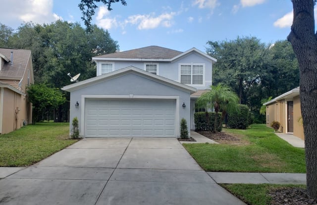 6160 Skylarcrest Drive - 6160 Skylarkcrest Drive, Fish Hawk, FL 33547