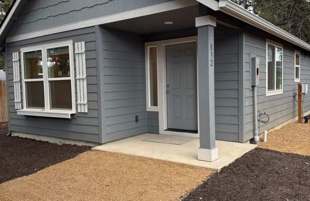 Brand New 2 Bdrm House Near Old Mill, All Appliances including Washer/dryer, Air Conditioning, Quiet Neighborhood Gallery 1