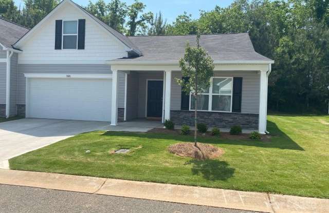1101 Amberlight Circle - 1101 Amberlight Circle, Rowan County, NC 28144