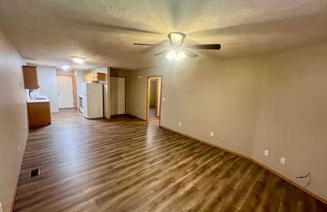 2 Bedroom - 2 Bathroom Duplex Fordland MO Available March 5th Gallery 4