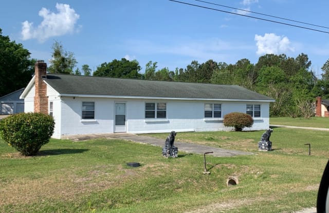 695 Bertha Jones Rd - 695 Bertha Jones Road, Robeson County, NC 28383