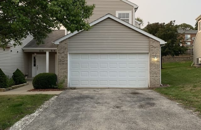 818 Park Bluff Circle - 818 Park Bluff Circle, Elgin, IL 60120