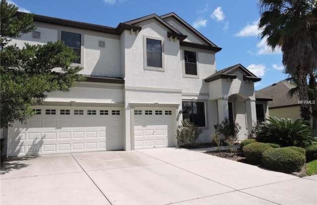 7931 HAMPTON LAKE DRIVE - 7931 Hampton Lake Drive, Tampa, FL 33647
