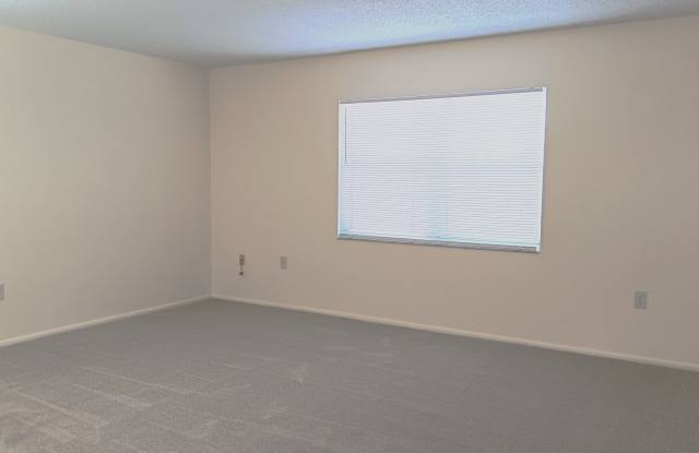 Great location for spacious 2-bedroom apartment Gallery 4