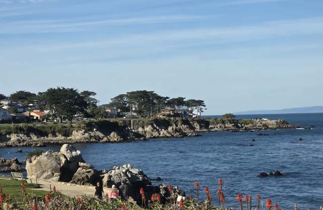 257 Central Avenue photos photos