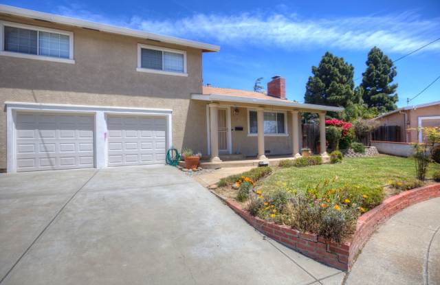 Pristine home! Custom quality. - 36792 Bishop Street, Newark, CA 94560