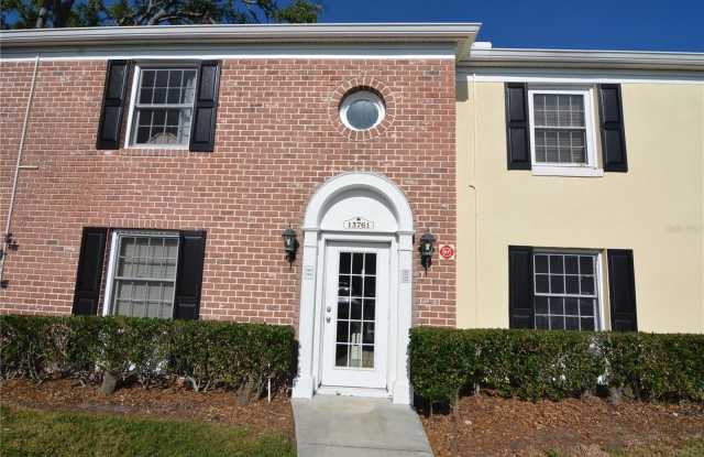 13761 ORANGE SUNSET DRIVE - 13761 Orange Sunset Drive, Lake Magdalene, FL 33618