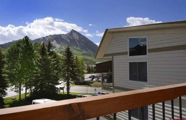 Mount CB 3 Bedroom/ 2 bathroom fully furnished condo plus one car garage! - 721 Gothic Road, Mount Crested Butte, CO 81225