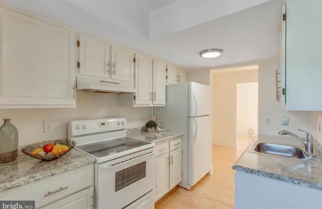 5009 HEAD CT Gallery 2