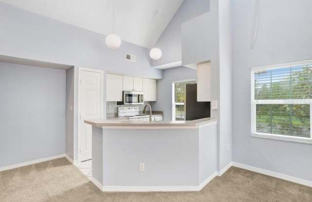 9338 LAKE CHASE ISLAND WAY Gallery 2