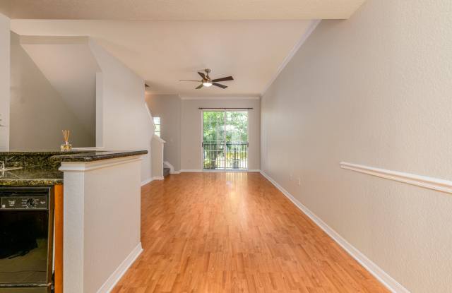 South Tampa photos photos