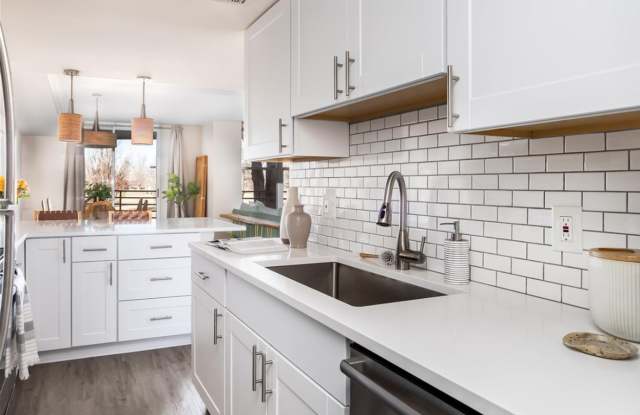Updated 2 Bed 2 Bath in Denver's Mayfair Neighborhood! Gallery 4