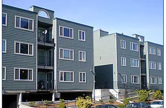 University Court Apartments photos photos