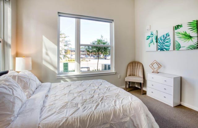The Main Apartments + Lofts Gallery 4