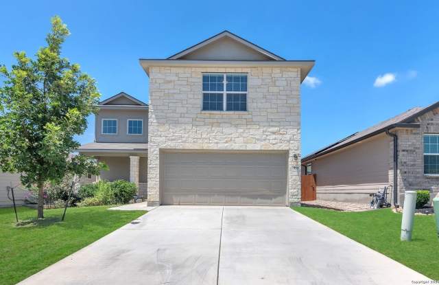 955 Red Merganser photos photos