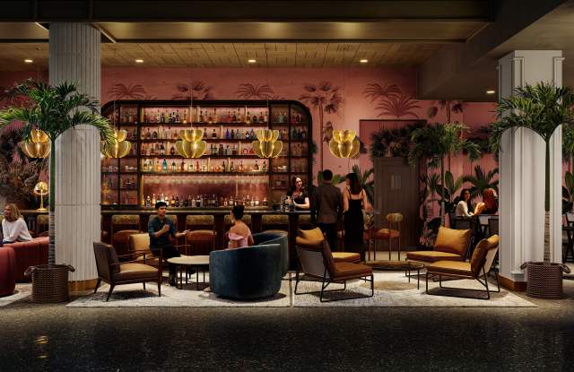 LC Line & Low photos photos