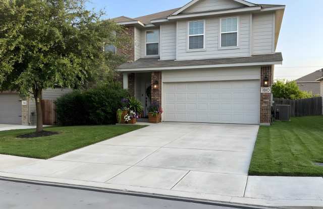 1810 Golden Maple photos photos