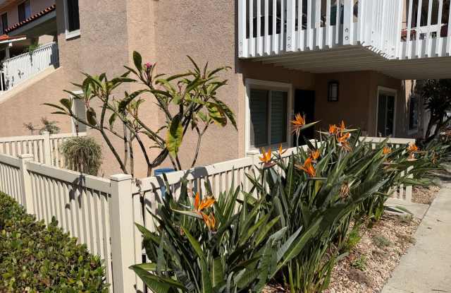 One bedroom condo for rent Gallery 1