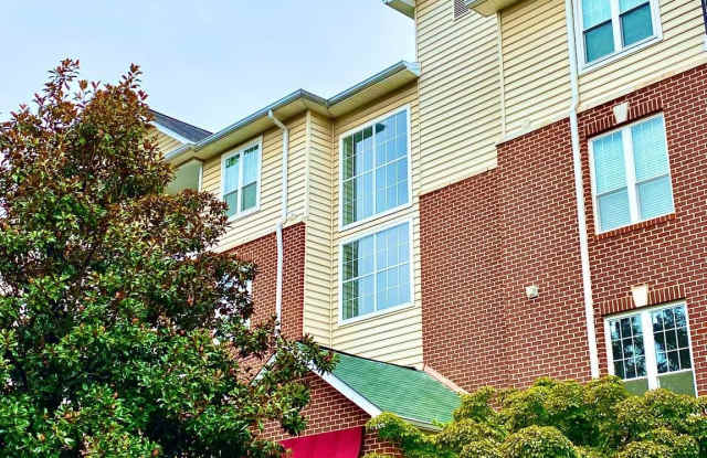 1580 SPRING GATE Drive unit: 4213 photos photos