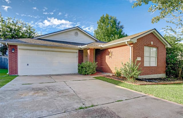 527 Paradise Ln - 527 Paradise Lane, Montgomery County, TX 77356