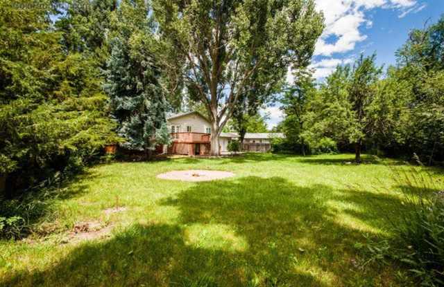 Massive Yard & Quiet Neighborhood photos photos