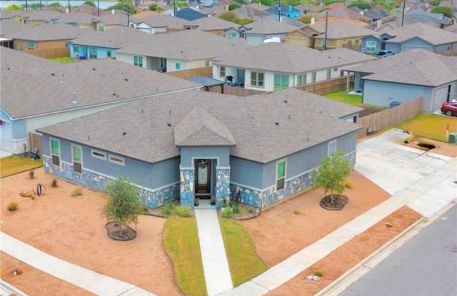 3137 Piranha Drive photos photos