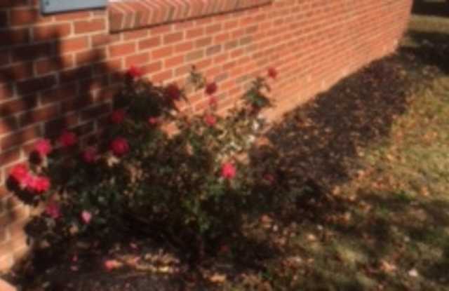 519 Beaulah Avenue photos photos