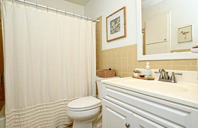 1308 Radam Circle Gallery 4
