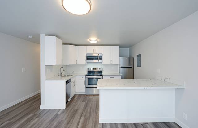 Leschi Lakeview Gallery 3