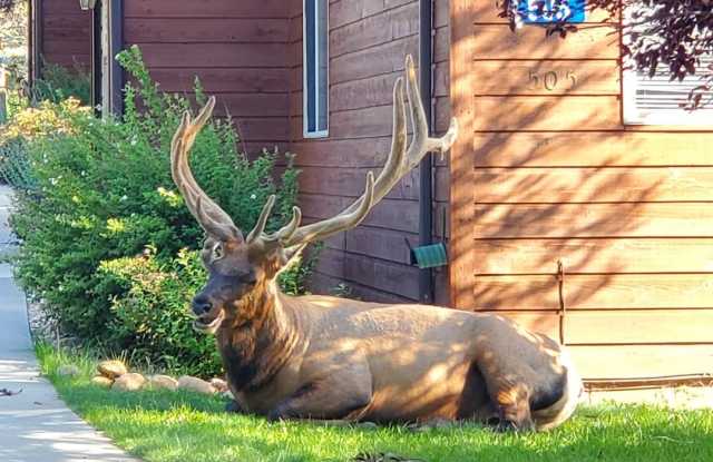 507 Fall River Lane Gallery 2