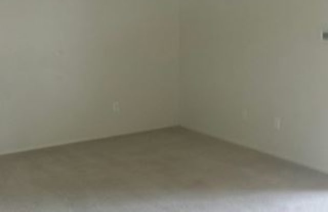 311 8th Ave North Gallery 2