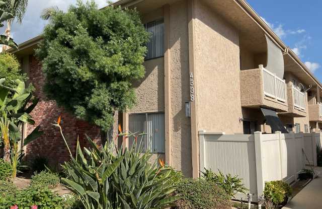 4338 Mammoth Ave Apts photos photos 4338 Mammoth Ave Apts photos photos