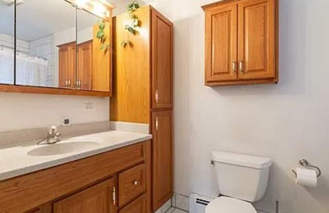 316 W HIGGINS UNIT 2 - 316 West Higgins Road, Park Ridge, IL 60068