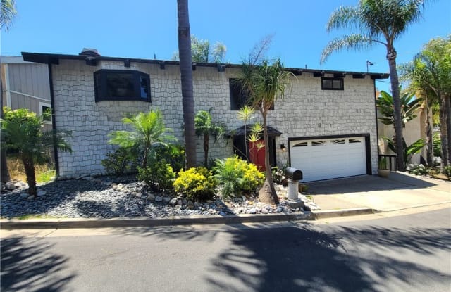 25212 Manzanita Drive - 25212 Manzanita Drive, Dana Point, CA 92629