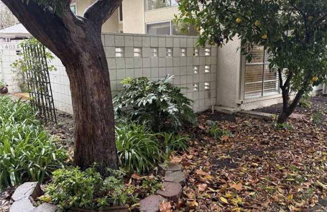 403 Avenida Castilla photos photos 403 Avenida Castilla photos photos