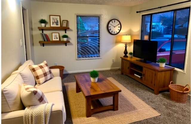 1101 East 420 South Street photos photos