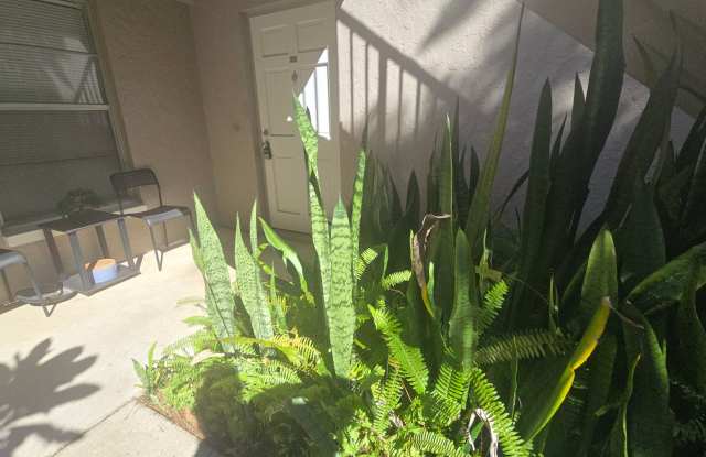 1-Bedroom, 1-Bathroom Apartment in Brandon Gallery 3