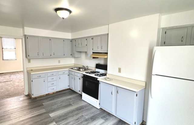 Updated 1 Bed, 1 Bath First Floor Unit in South Side - Private Entrance, Laundry in Basement - Available July 1! photos photos