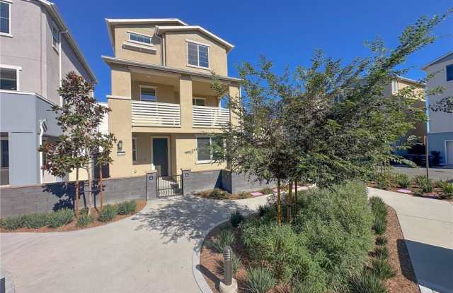 1251 Grassland photos photos