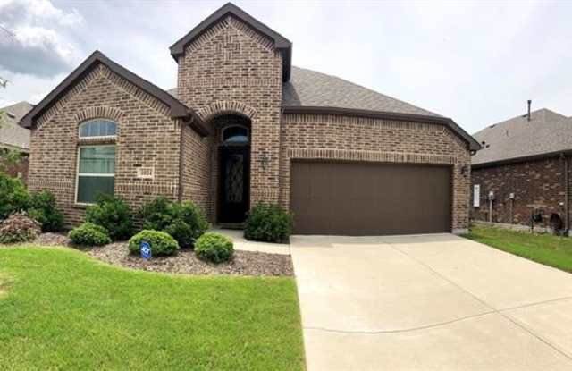 1024 Lake Sierra Way - 1024 Lake Sierra Way, Denton County, TX 75068