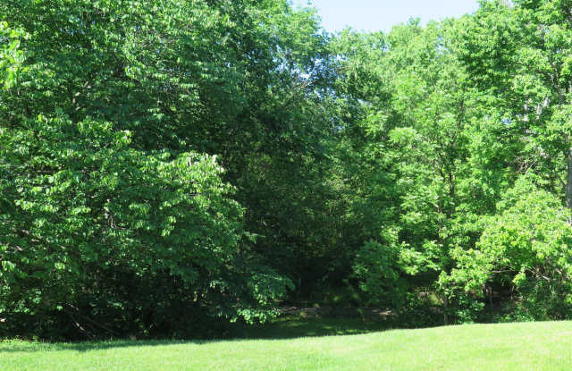 14583 CREEK BRANCH COURT Gallery 4