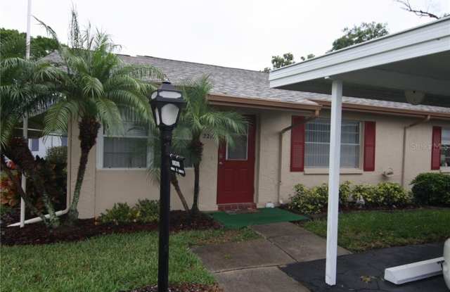 2210 GREENHAVEN DRIVE - 2210 Greenhaven Drive, Sun City Center, FL 33573