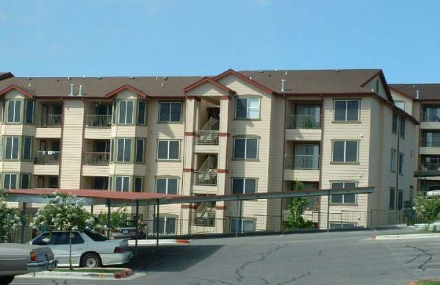 2425 EAST RIVERSIDE DR. Gallery 3