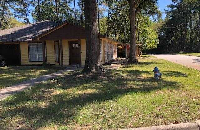 1700 Hazelwood Street - 1700 Hazelwood Drive, Conroe, TX 77301