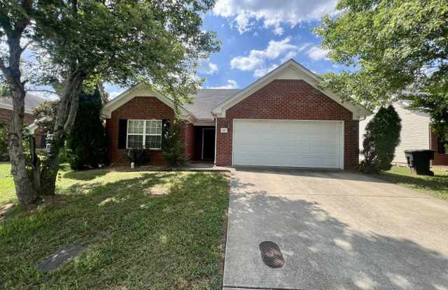 3 Bed, 2 Bath, One level home in BLACKMAN - 823 Kanatak Lane, Murfreesboro, TN 37128