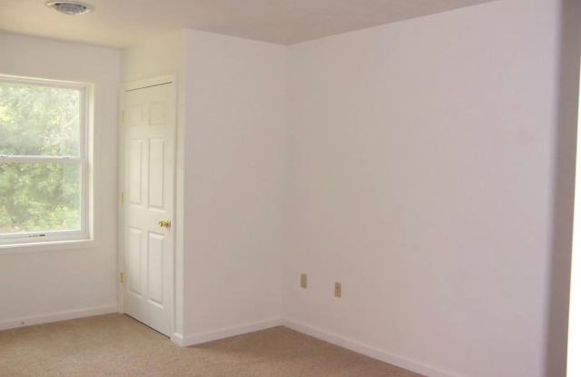 CLEMENS LANE 137/139 Gallery 4
