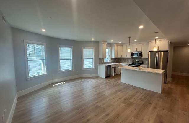 New Construction 3 Bed / 2 Bath in Allston – In-Unit Laundry – 10/1 Gallery 1