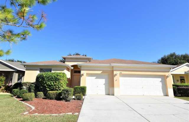 11410 LAUREL BROOK COURT - 11410 Laurel Brook Court, Riverview, FL 33569