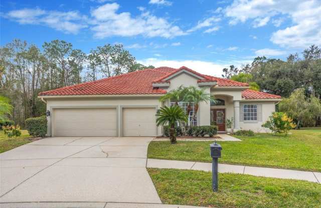 6120 CHENE COURT photos photos