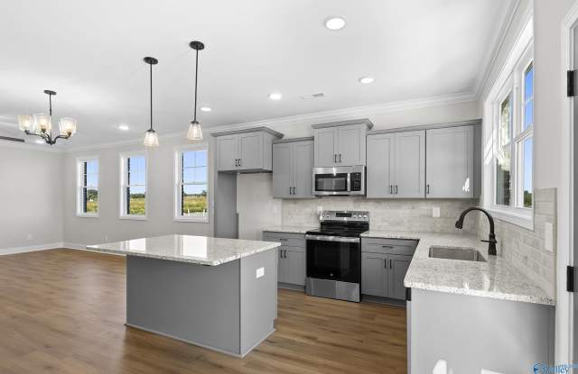 241 Susan Lynn Drive - 241 Susan Lynn Drive, Meridianville, AL 35759